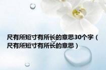 尺有所短寸有所长的意思30个字（尺有所短寸有所长的意思）