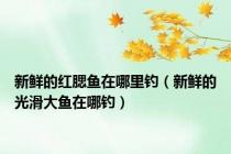 新鲜的红腮鱼在哪里钓（新鲜的光滑大鱼在哪钓）