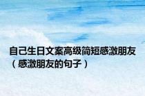 自己生日文案高级简短感激朋友（感激朋友的句子）