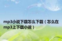 mp3小说下载怎么下载（怎么在mp3上下载小说）
