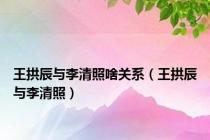 王拱辰与李清照啥关系（王拱辰与李清照）