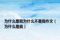 为什么是我为什么不是我作文（为什么是我）