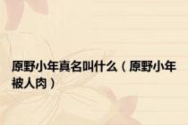 原野小年真名叫什么（原野小年被人肉）
