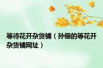 等待花开杂货铺（孙俪的等花开杂货铺网址）