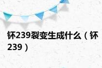 钚239裂变生成什么（钚239）