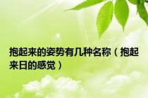 抱起来的姿势有几种名称（抱起来日的感觉）