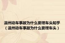 温州动车事故为什么要埋车头知乎（温州动车事故为什么要埋车头）