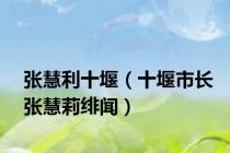 张慧利十堰（十堰市长张慧莉绯闻）