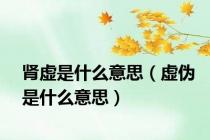 肾虚是什么意思（虚伪是什么意思）