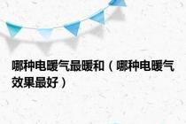 哪种电暖气最暖和（哪种电暖气效果最好）