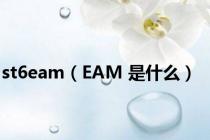 st6eam（EAM 是什么）