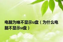 电脑为啥不显示u盘（为什么电脑不显示u盘）