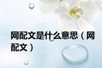 网配文是什么意思（网配文）