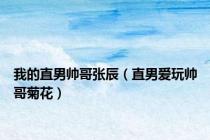 我的直男帅哥张辰（直男爱玩帅哥菊花）