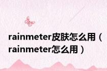 rainmeter皮肤怎么用（rainmeter怎么用）