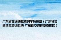 广东省交通违章查询车辆违章（广东省交通违章查询系统 广东省交通违章查询网）