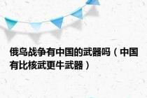 俄鸟战争有中国的武器吗（中国有比核武更牛武器）
