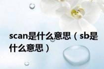 scan是什么意思（sb是什么意思）