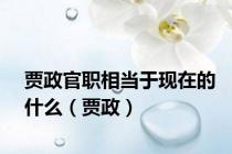 贾政官职相当于现在的什么（贾政）