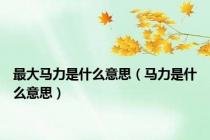 最大马力是什么意思（马力是什么意思）