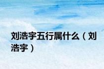 刘浩宇五行属什么（刘浩宇）