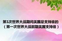 第1次世界大战期间美国是支持谁的（第一次世界大战前期美国支持谁）