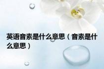 英语音素是什么意思（音素是什么意思）