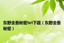 东野圭吾秘密txt下载（东野圭吾秘密）