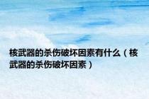 核武器的杀伤破坏因素有什么（核武器的杀伤破坏因素）