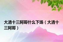 大清十三阿哥什么下场（大清十三阿哥）