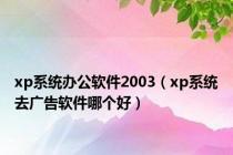 xp系统办公软件2003（xp系统去广告软件哪个好）
