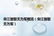宋江智取无为军概括（宋江智取无为军）