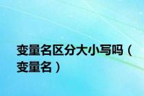 变量名区分大小写吗（变量名）