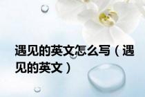 遇见的英文怎么写（遇见的英文）