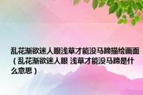 乱花渐欲迷人眼浅草才能没马蹄描绘画面（乱花渐欲迷人眼 浅草才能没马蹄是什么意思）