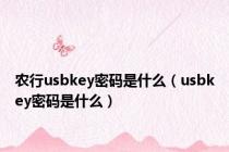 农行usbkey密码是什么（usbkey密码是什么）