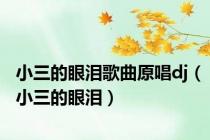 小三的眼泪歌曲原唱dj（小三的眼泪）