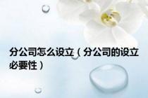 分公司怎么设立（分公司的设立必要性）