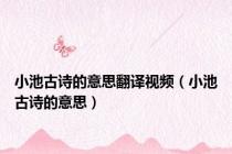 小池古诗的意思翻译视频（小池古诗的意思）