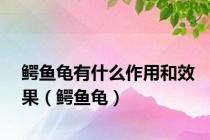 鳄鱼龟有什么作用和效果（鳄鱼龟）