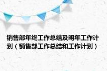 销售部年终工作总结及明年工作计划（销售部工作总结和工作计划）