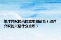 望洋兴叹的兴的意思和读音（望洋兴叹的兴是什么意思）