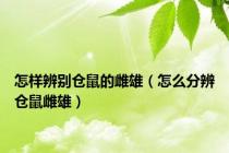 怎样辨别仓鼠的雌雄（怎么分辨仓鼠雌雄）