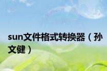 sun文件格式转换器（孙文健）