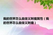 我的世界怎么自定义附魔属性（我的世界怎么自定义附魔）