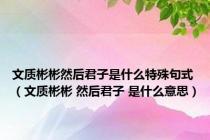 文质彬彬然后君子是什么特殊句式（文质彬彬 然后君子 是什么意思）