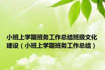 小班上学期班务工作总结班级文化建设（小班上学期班务工作总结）