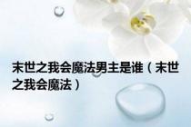 末世之我会魔法男主是谁（末世之我会魔法）