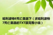 哈利波特8死亡圣器下（求哈利波特7死亡圣器的TXT版完整小说）