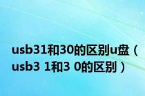 usb31和30的区别u盘（usb3 1和3 0的区别）